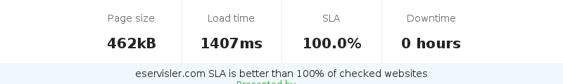 Uptime and updown monitoring for eservisler.com