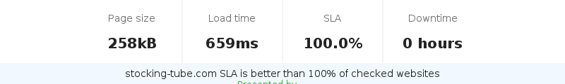 Uptime and updown monitoring for stocking-tube.com